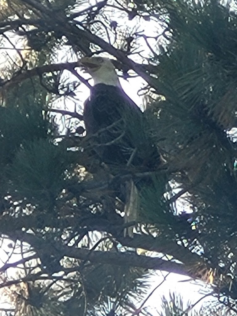 Bunker Hills Golf Club - review