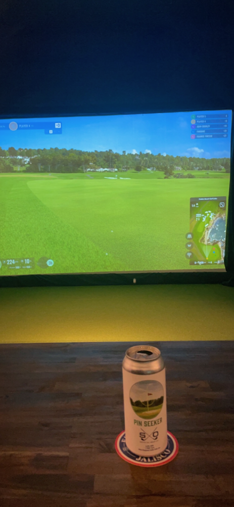 Stingers Indoor Golf - review
