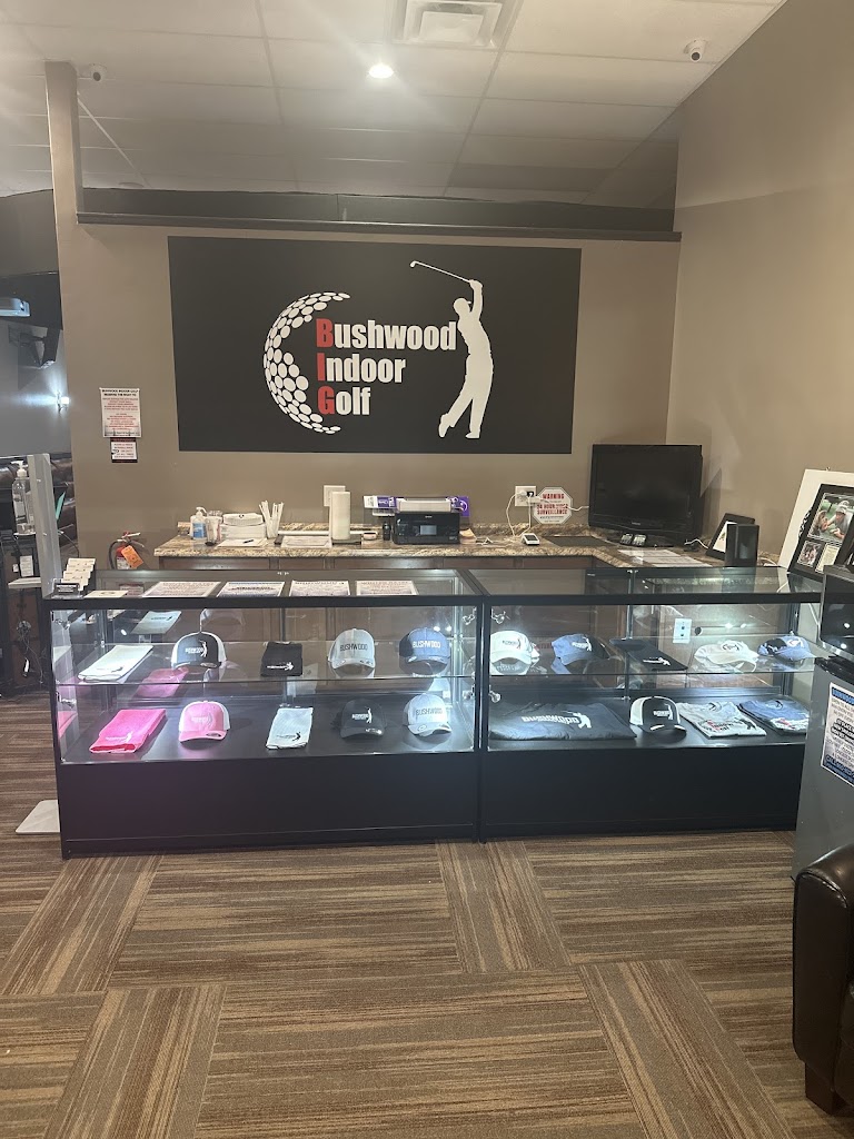 Bushwood Indoor Golf - review