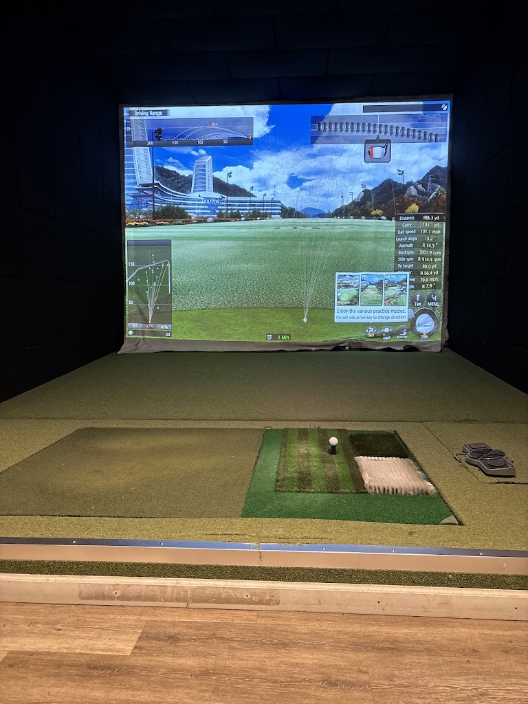 Choice Screen Golf - review