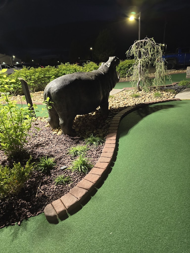 Cool Springs Golf - review