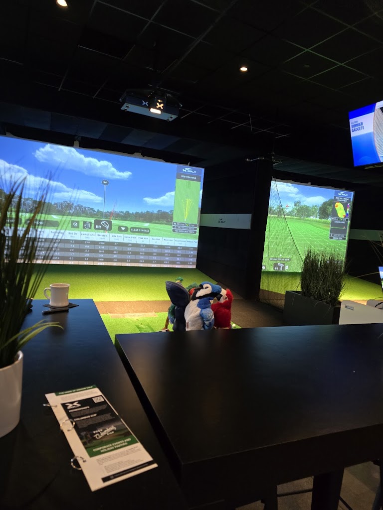 X-Golf Columbus - review
