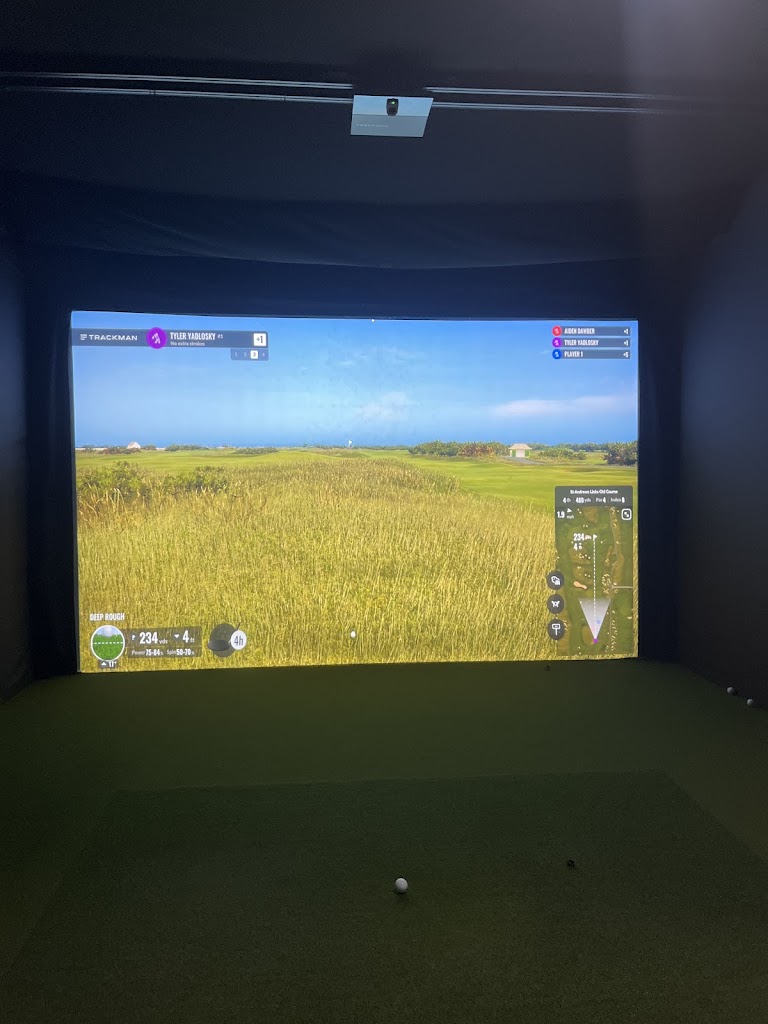 GolfSim24 - review
