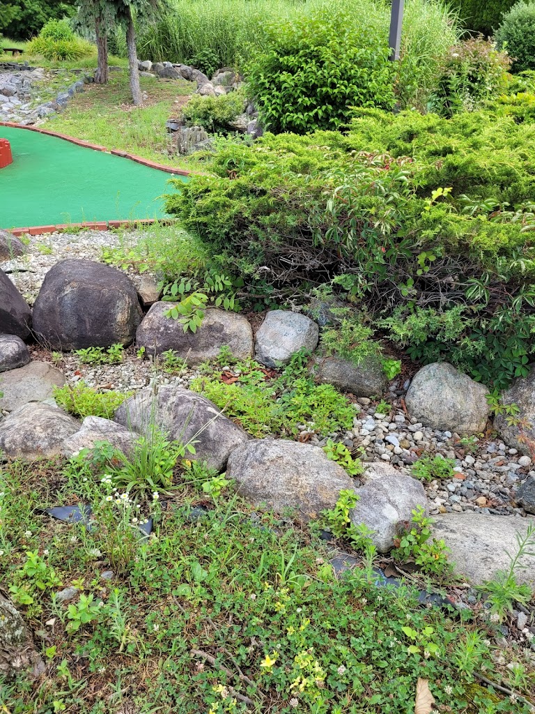 The Golf Zone Club Fitting - review