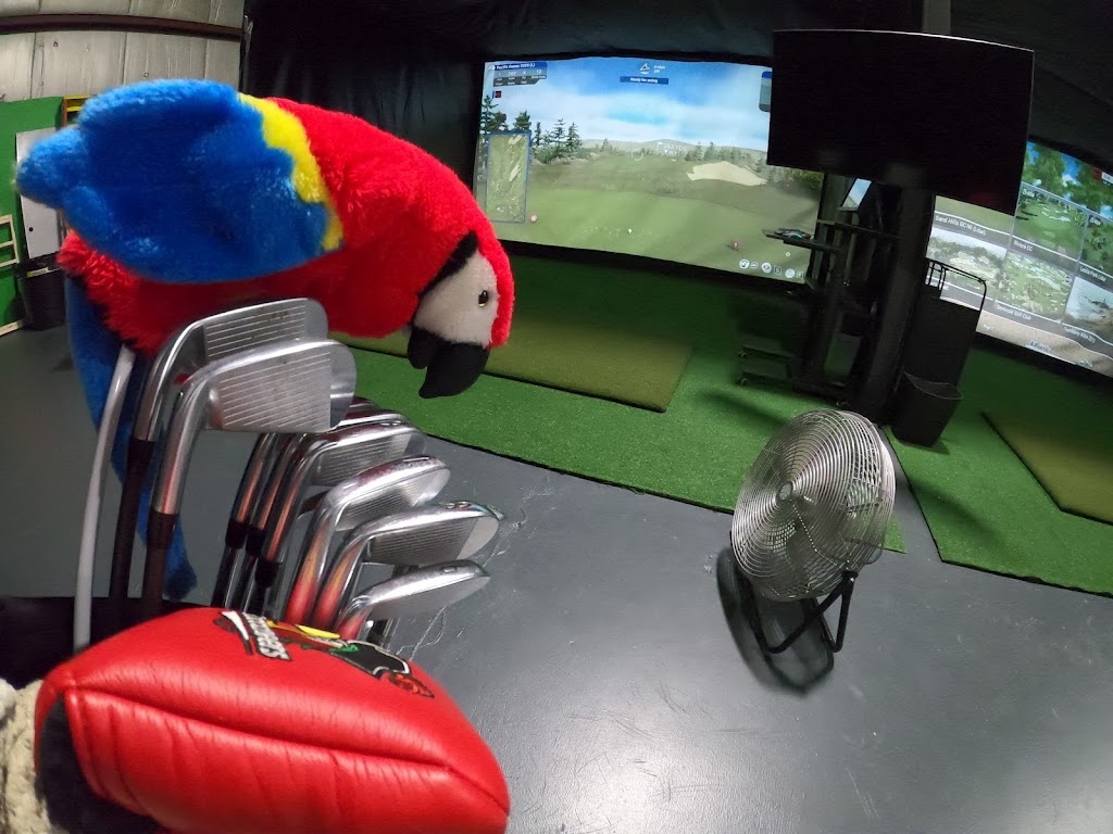Ann Arbor Indoor Golf - review