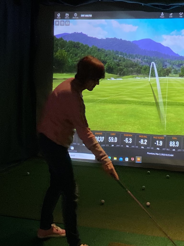 Wisconsin Indoor Golf Center - review