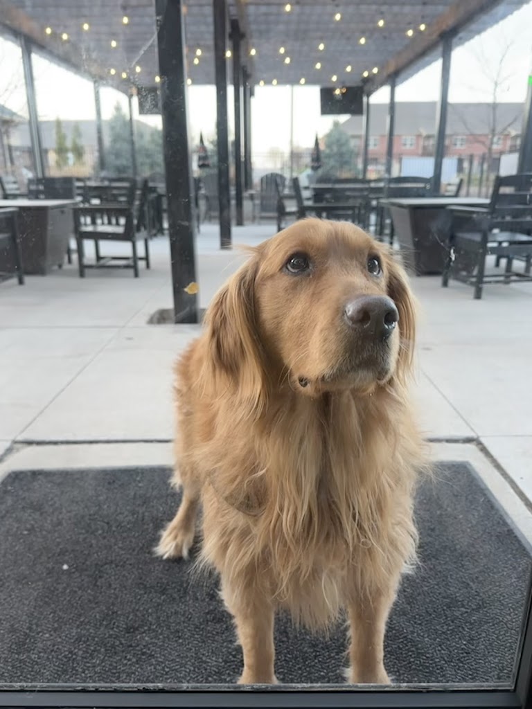 Fore Seasons Golf Omaha - review