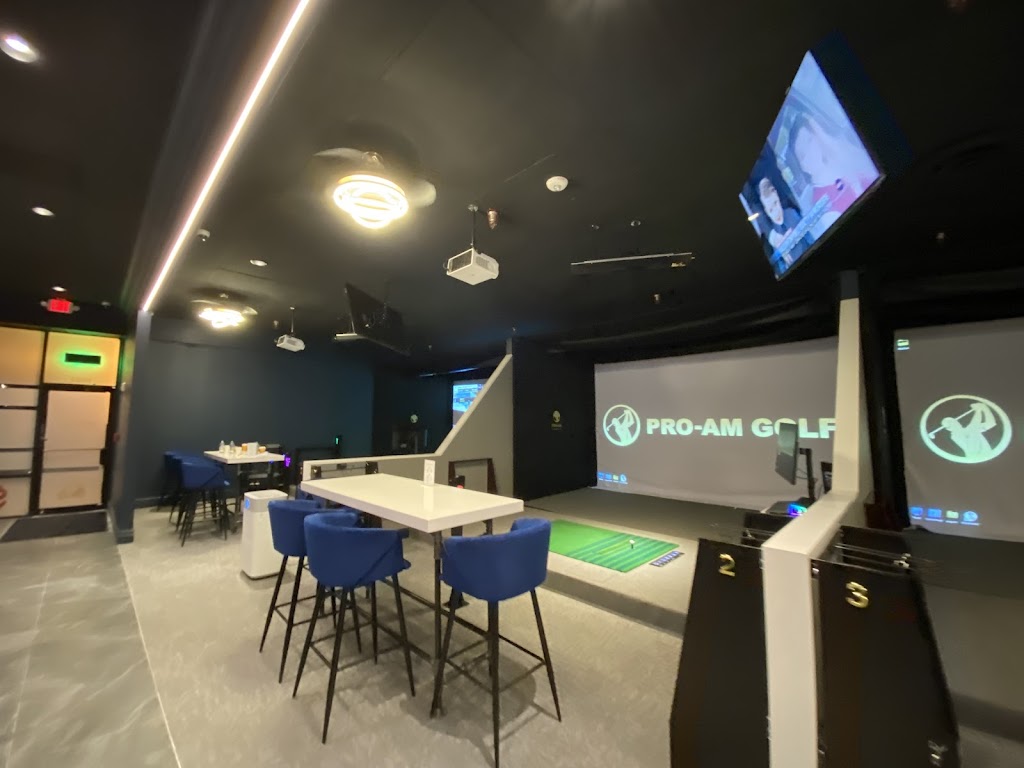 Pro-Am Golf Club - review