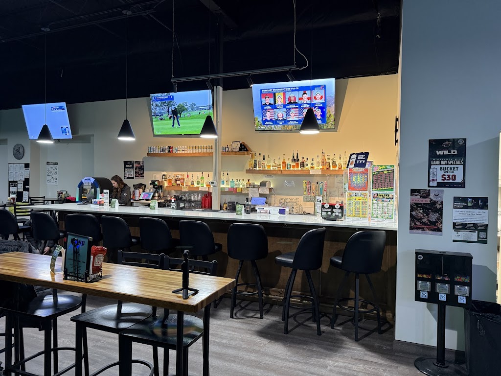 Lakeville Links Indoor Golf - review