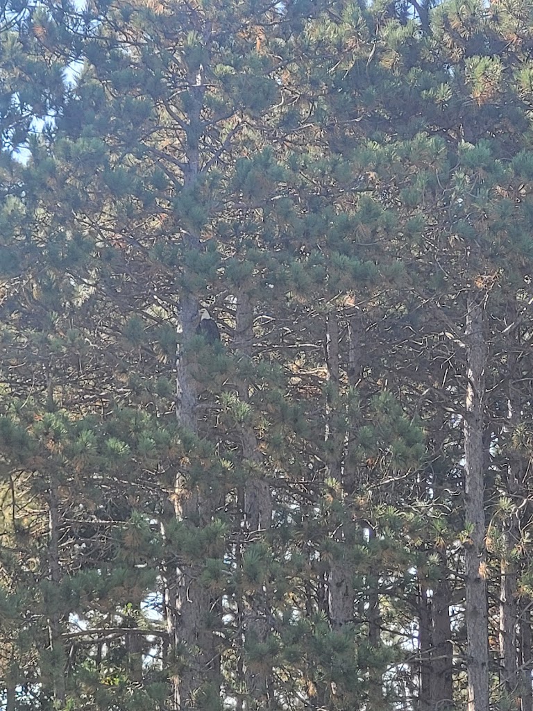 Bunker Hills Golf Club - review