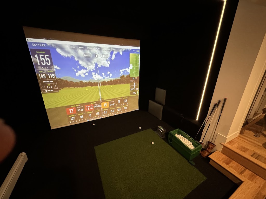 Next Level Sims - review