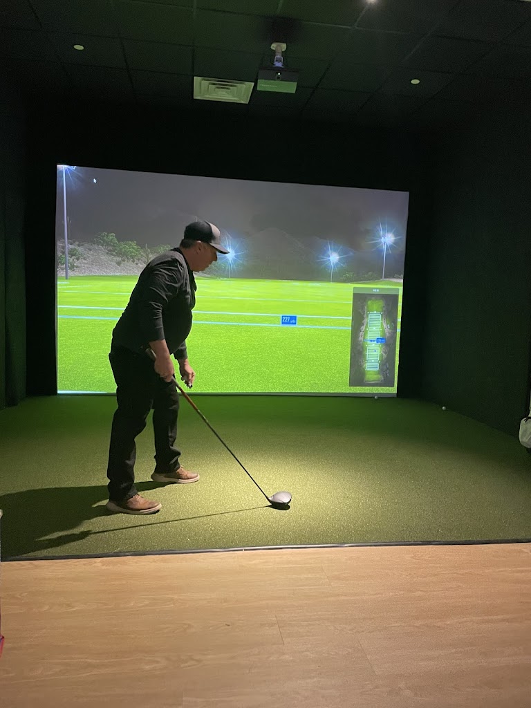 Chip + Birdie's - Indoor Virtual Golf Club - review