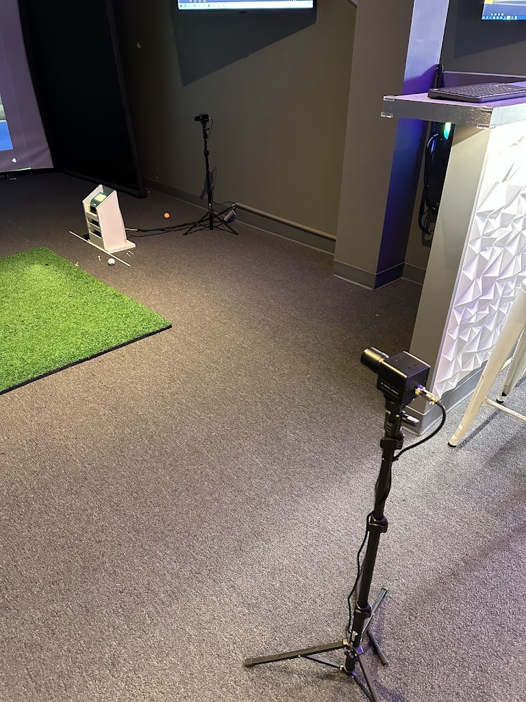 Birdie Club - review