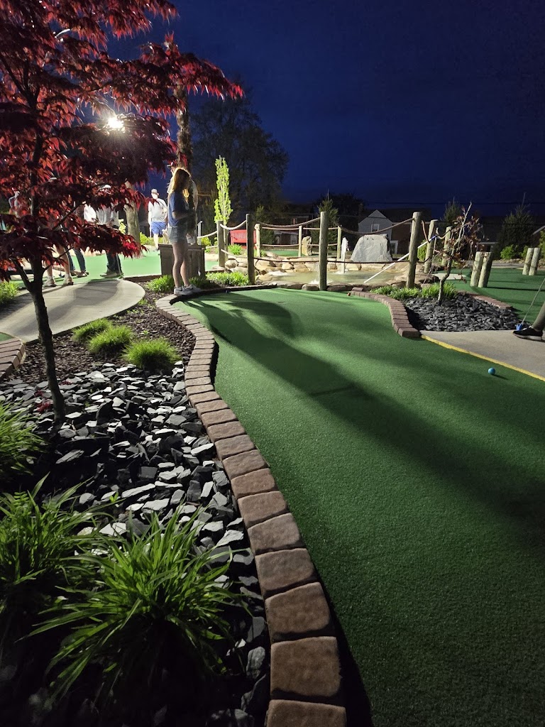 Cool Springs Golf - review