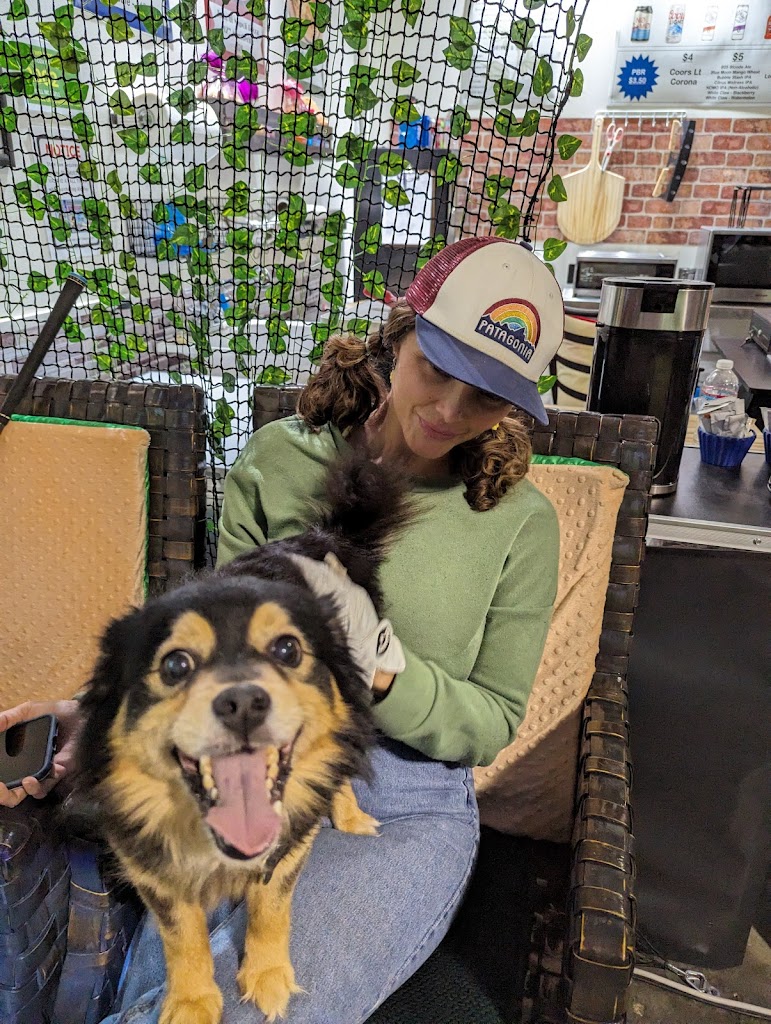 The Screenskeeper - Rogue Valley Indoor Golf - review