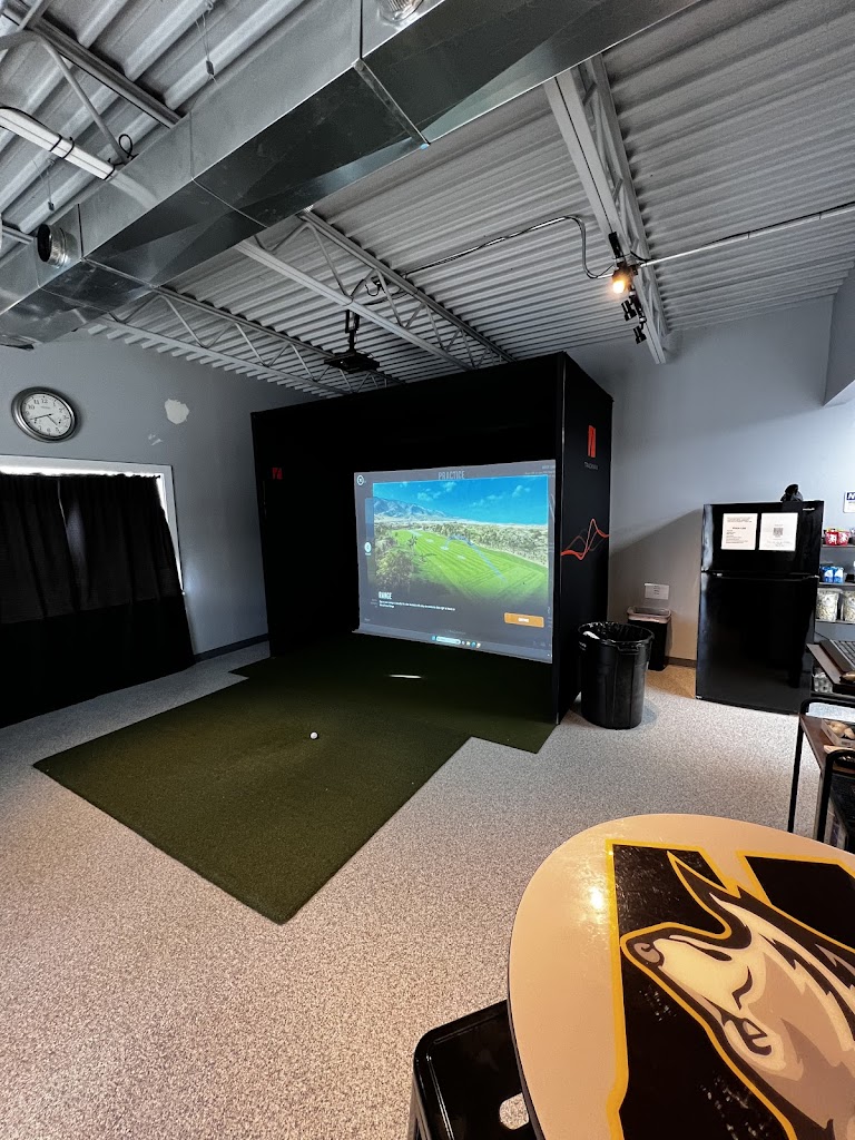 Straight Shots Golf - review