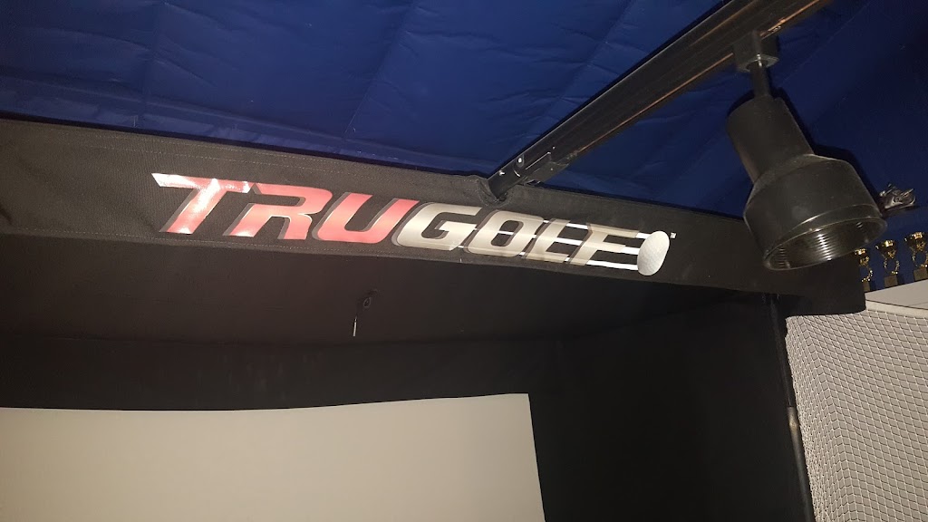 Augusta Virtual Golf - review