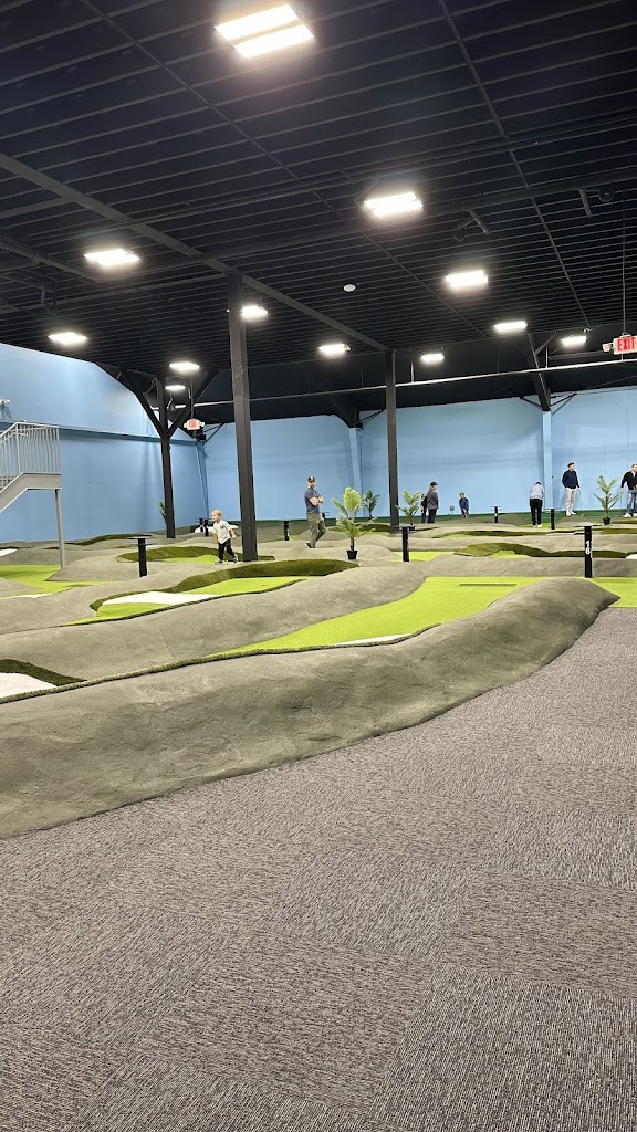 Birdies Mini Golf & Simulators - review