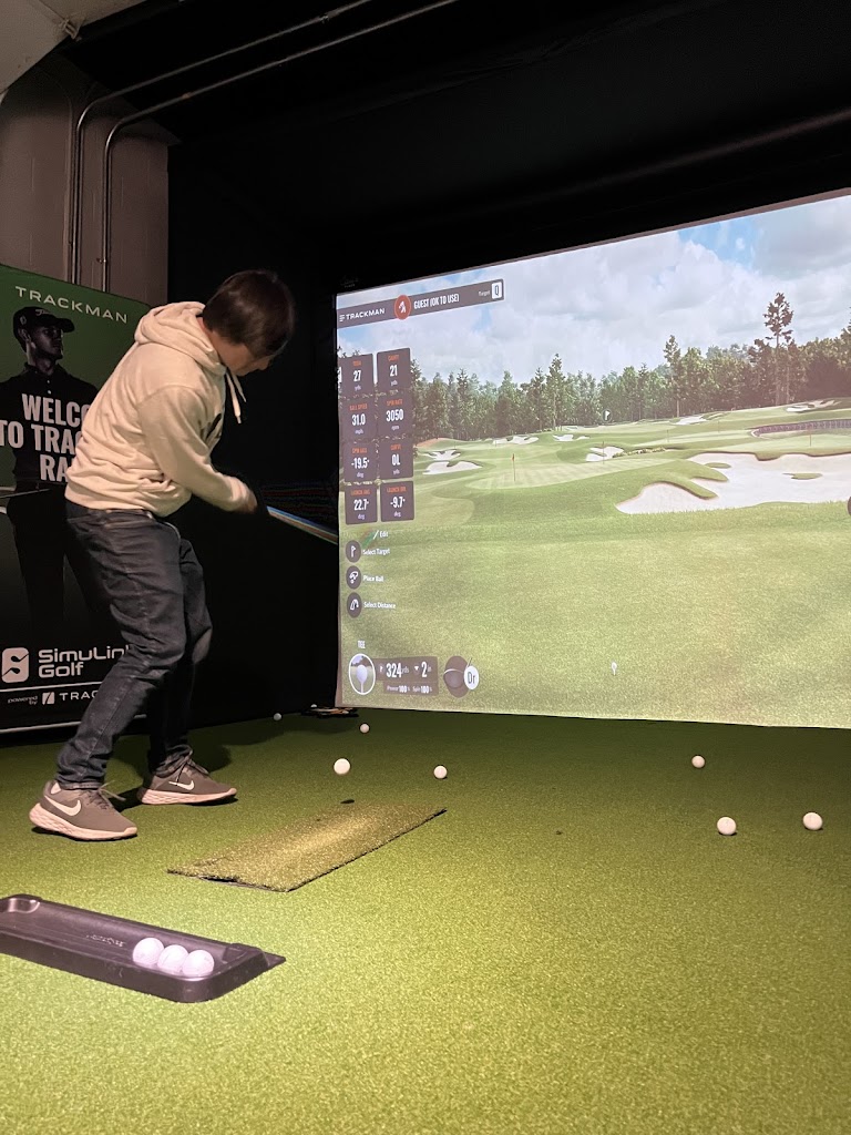 SimuLinks Golf - review