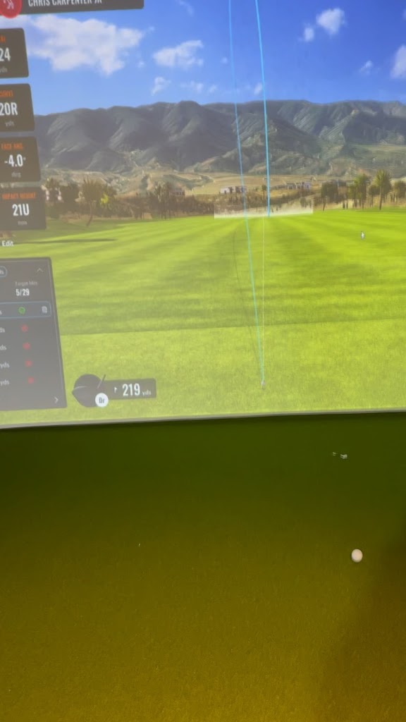 PB Virtual Golf - review