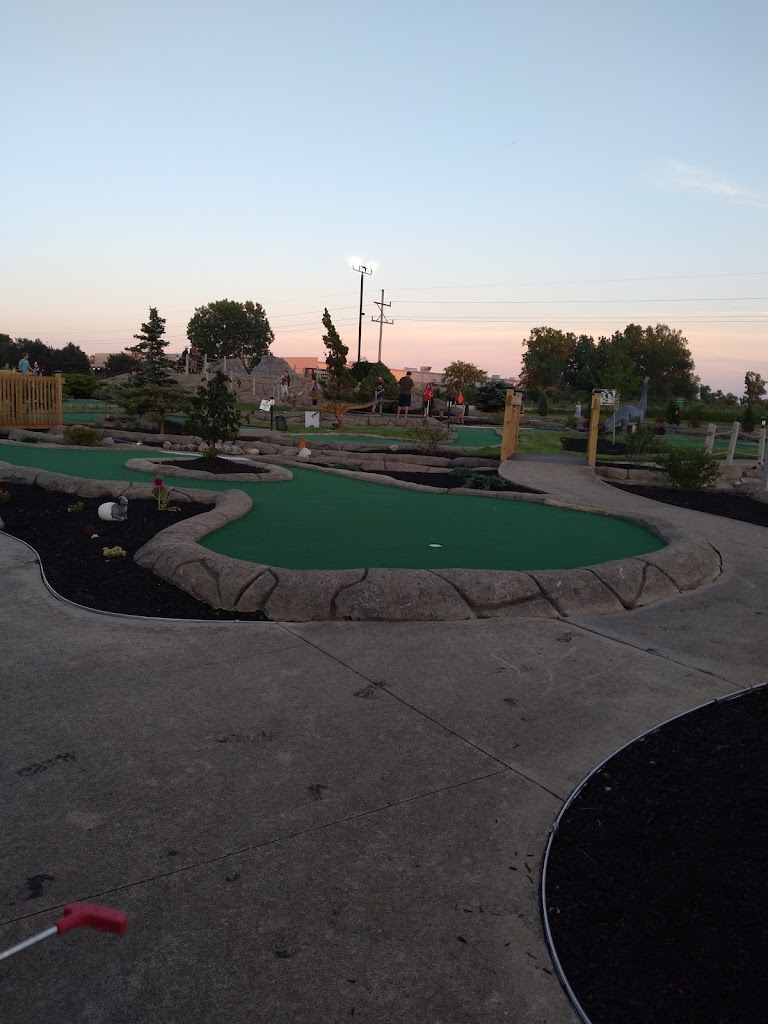 Apex Sports & Entertainment - review