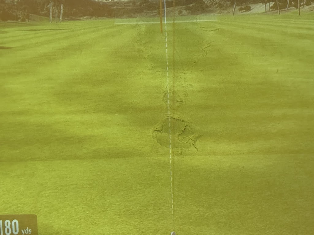 PARennial Golf - Lincoln Park - review