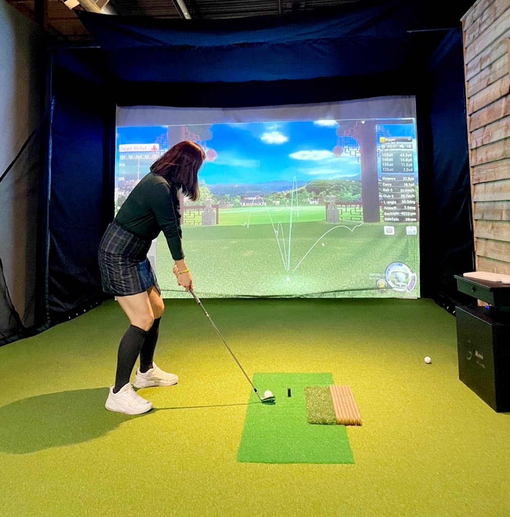 TARGET Indoor Golf - review