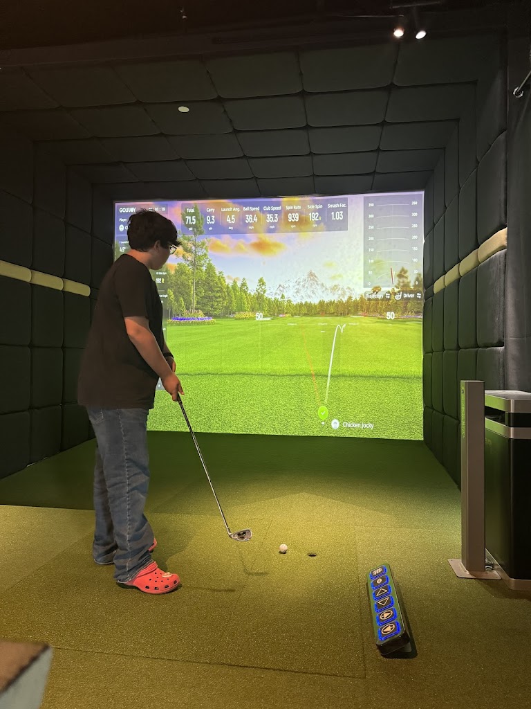 Fore Play Simulators - review