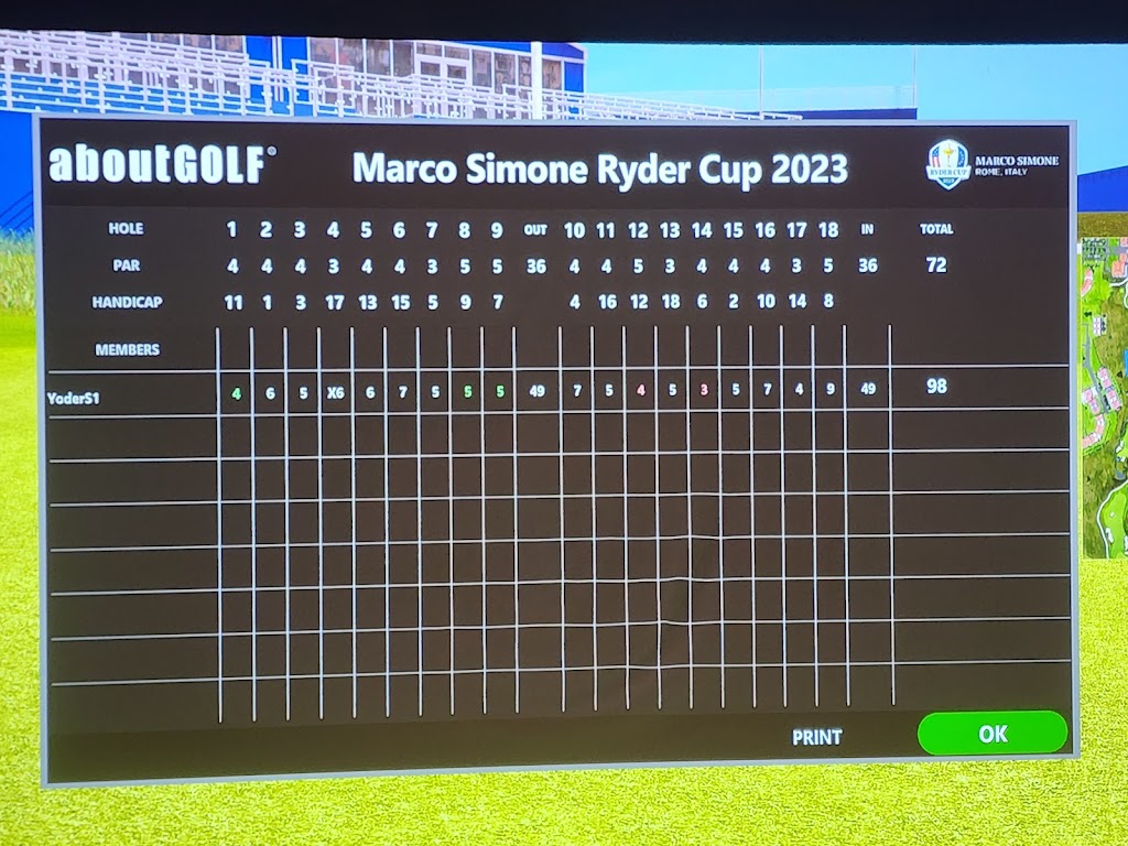 Swing Center Indoor Golf - review