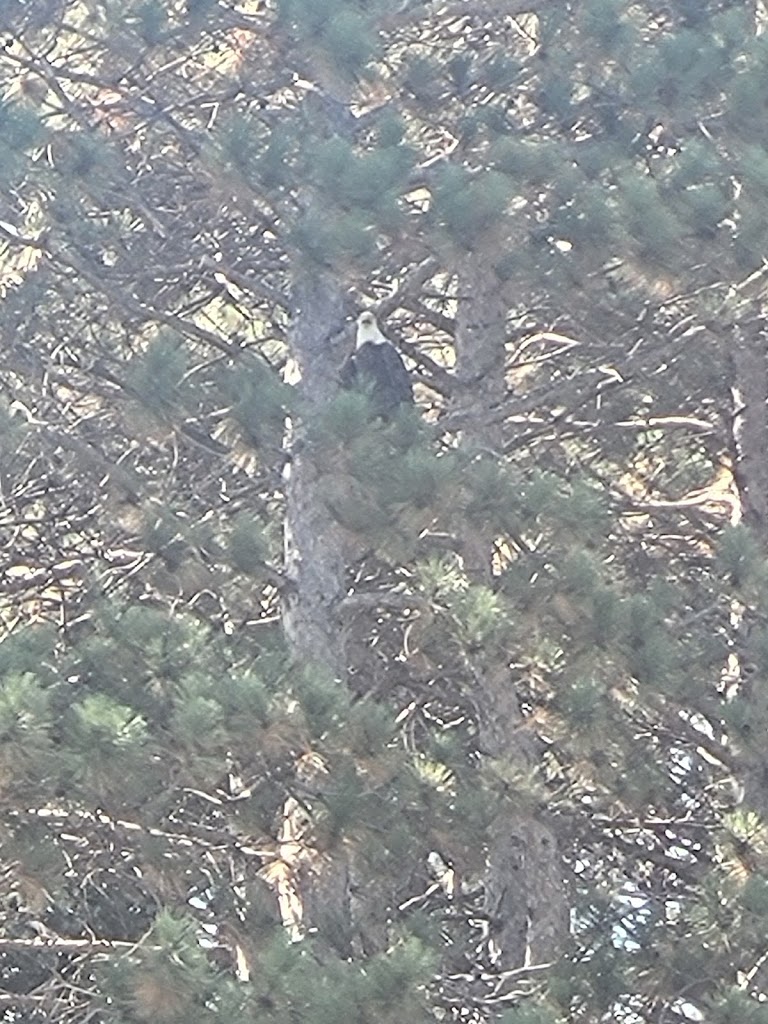 Bunker Hills Golf Club - review