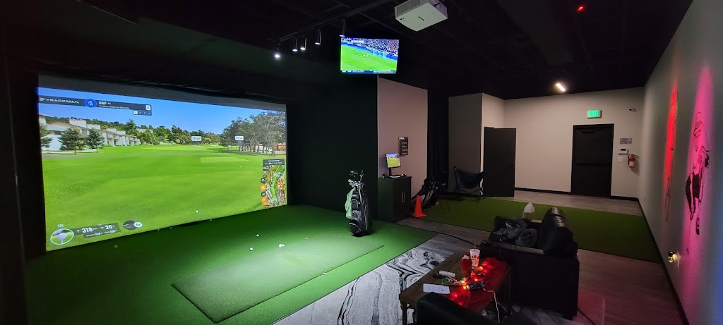 Ryder NDoor Golf - review