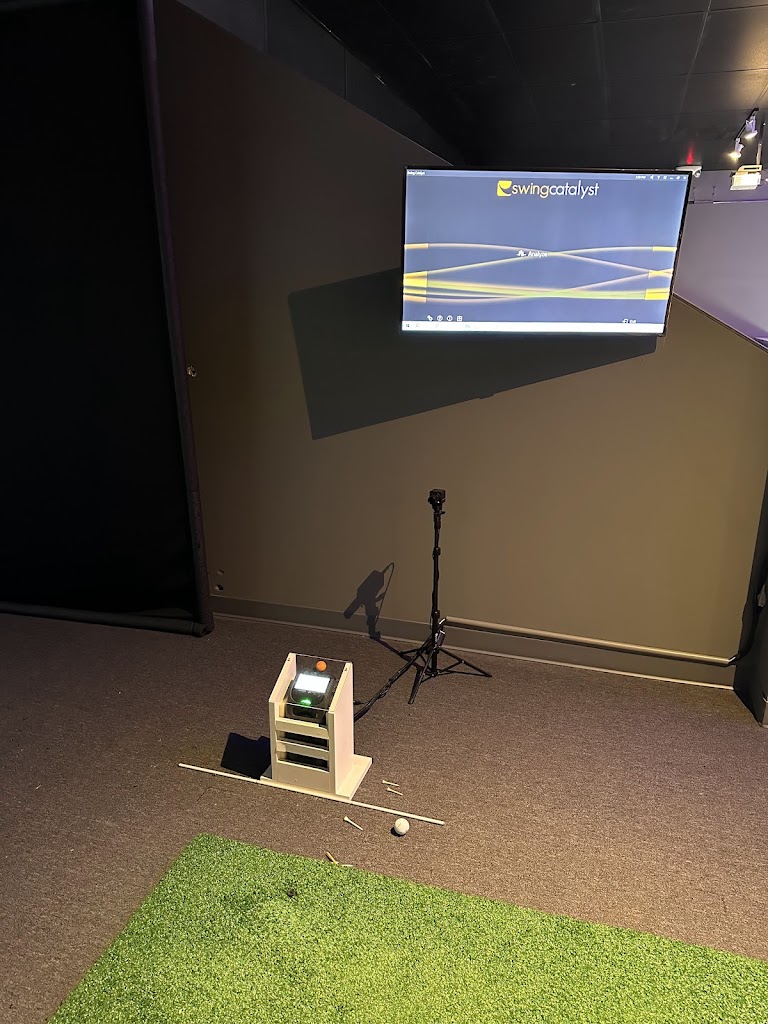 Birdie Club - review