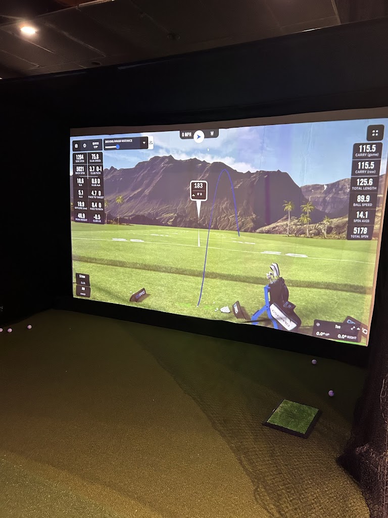 Strokes N Drivers Indoor Golf - review