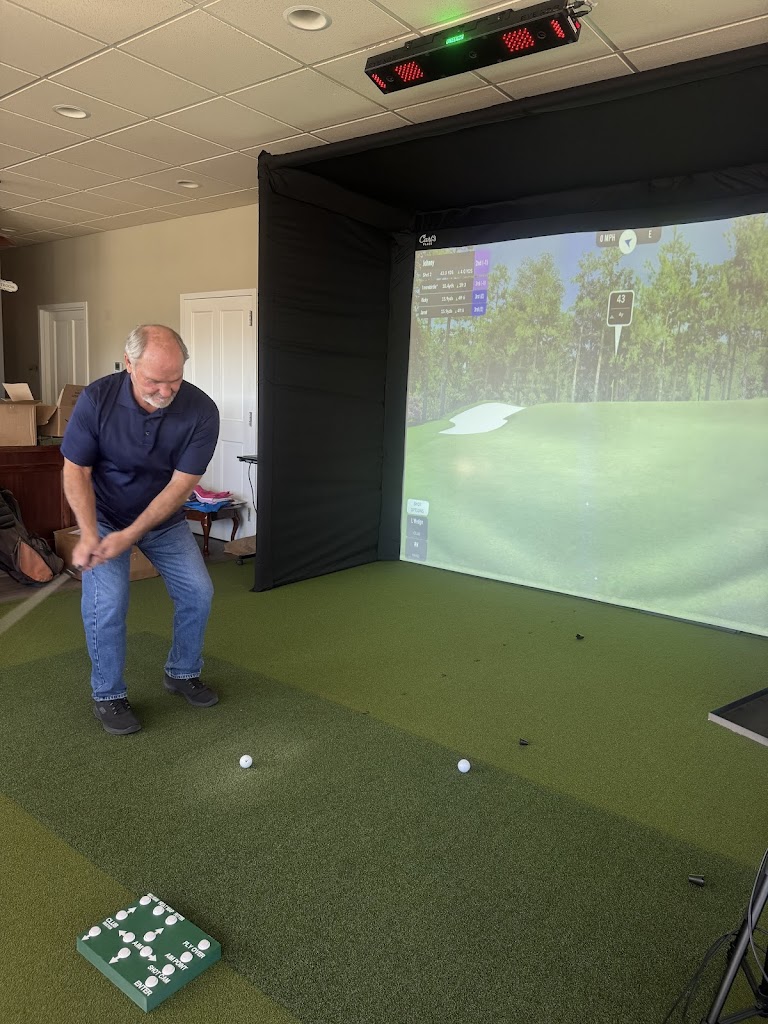 Birdies... Where Are You - review