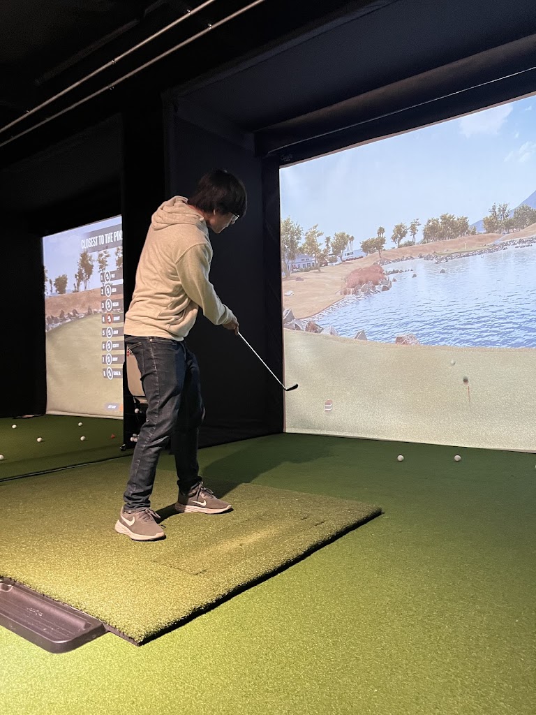 SimuLinks Golf - review