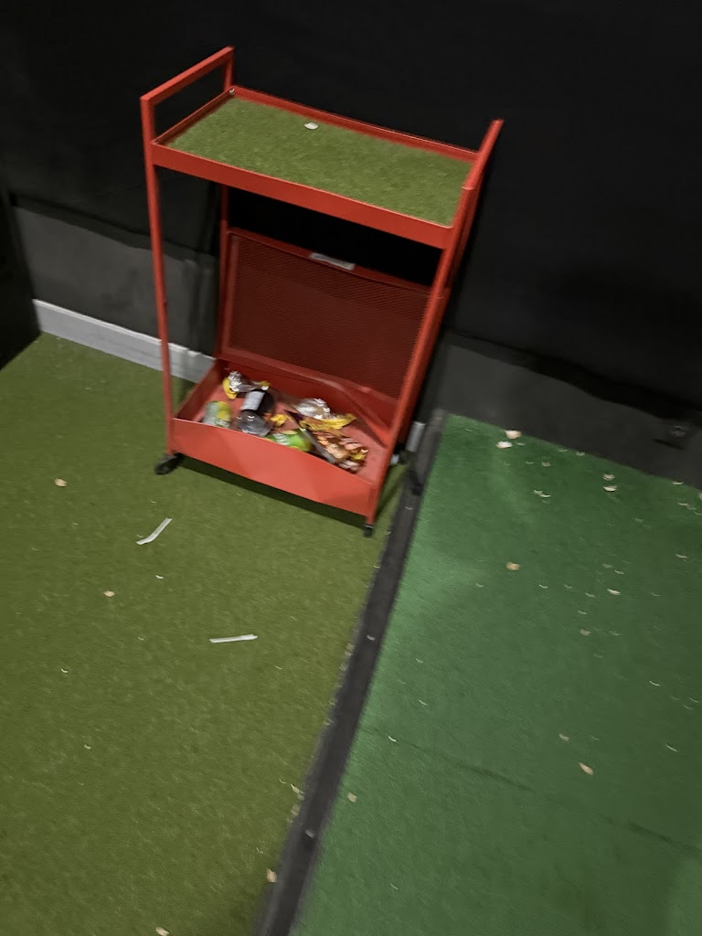 TARGET Indoor Golf - review