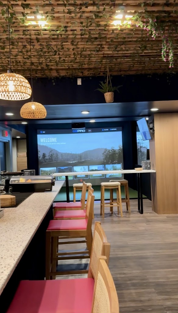 Hideout Golf - review