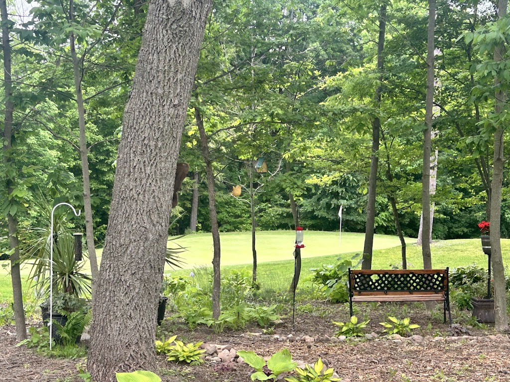 Hilly Haven Golf Course - review