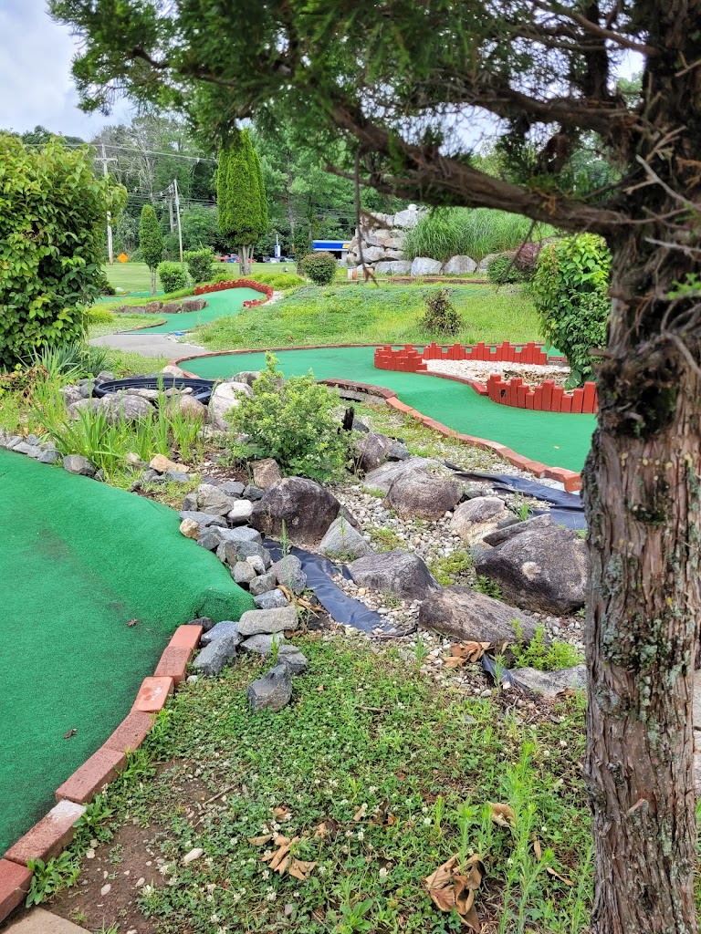 The Golf Zone Club Fitting - review