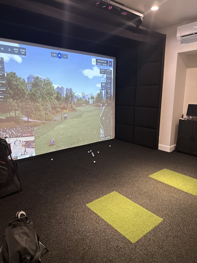 Next Level Sims - review