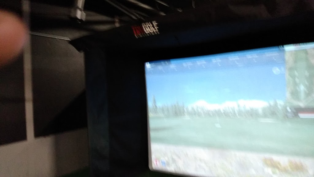 Tee Up Taproom golf simulators and bar - review