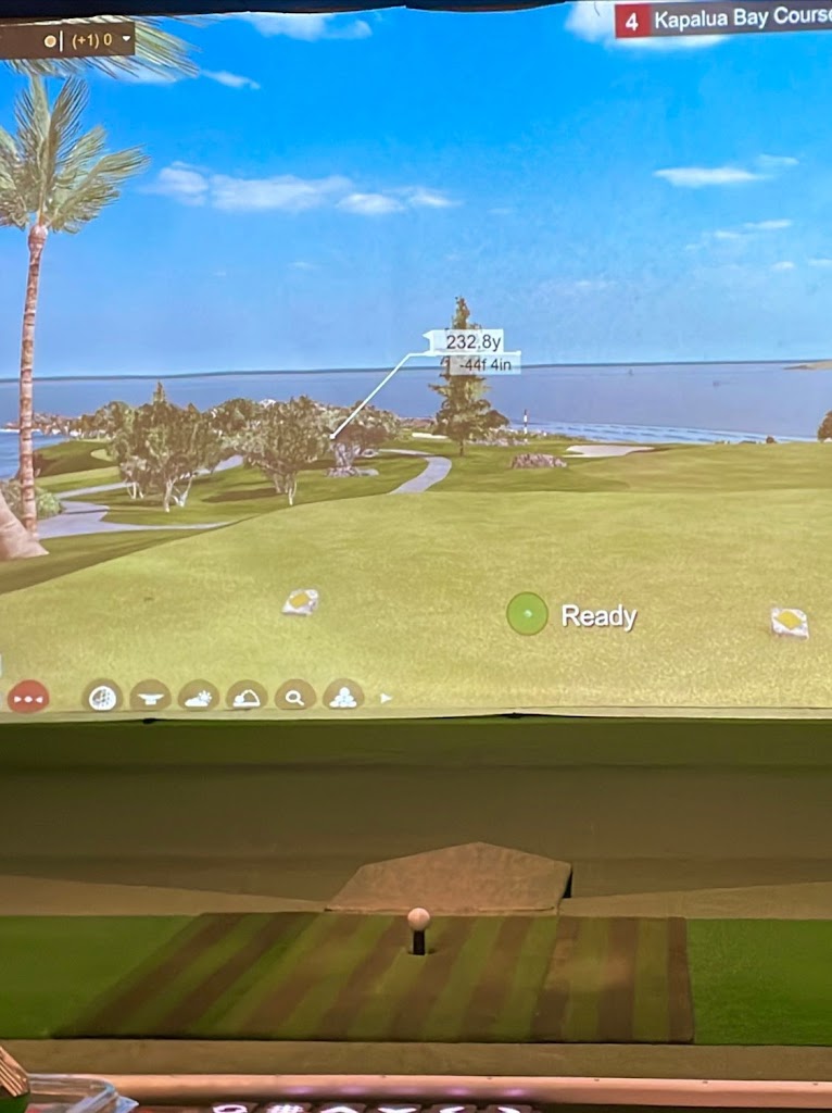 Golf Park - Brentwood - review