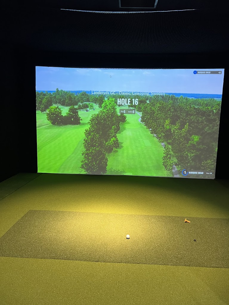 The Back Nine Golf | Chattanooga, TN - review