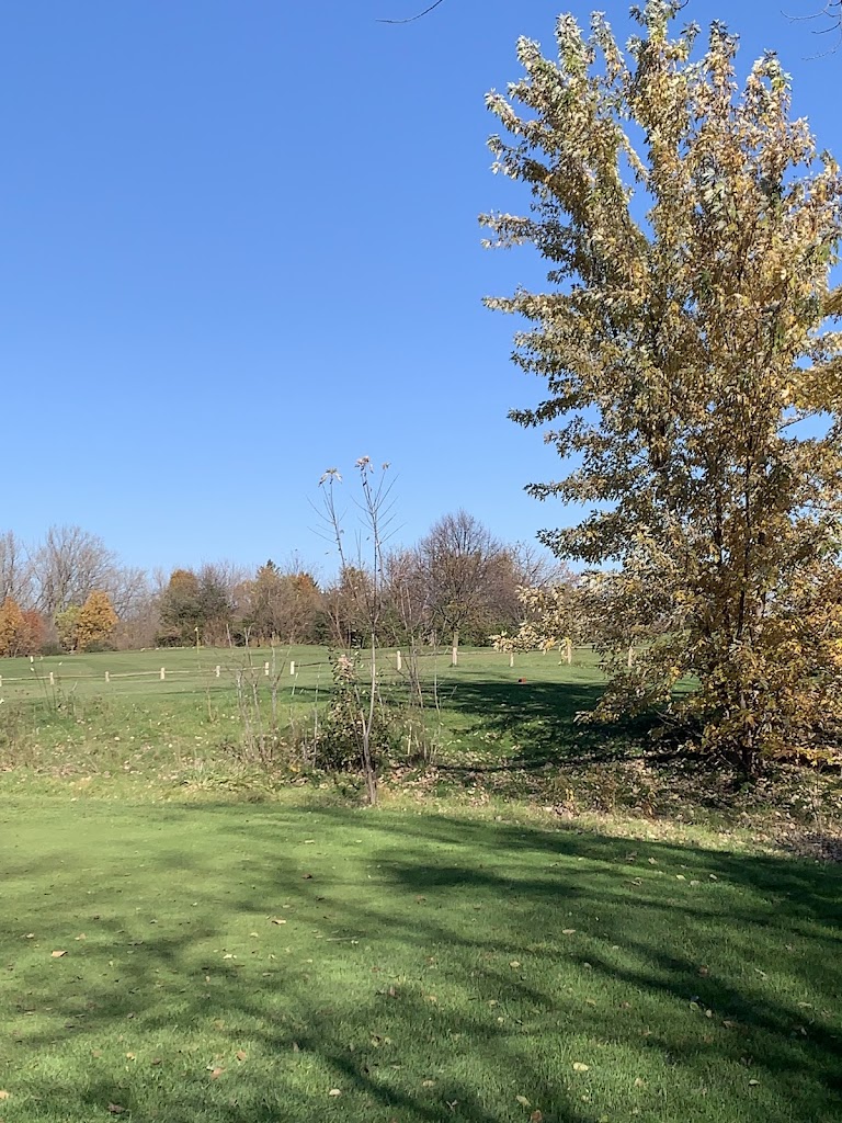 Stony Creek Golf Course, Restaurant & Banquet Facility - review