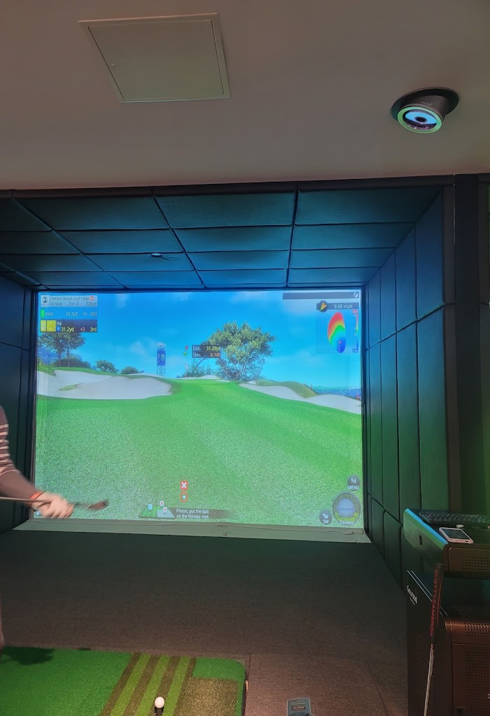 Eagle 5 Golf - Indoor Golf - review