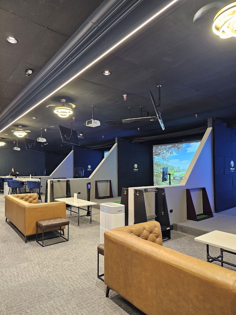 Pro-Am Golf Club - review