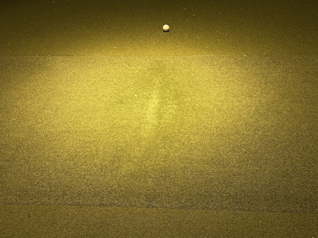 PARennial Golf - Lincoln Park - review