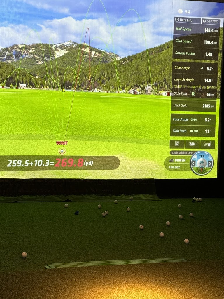 Score 18 Indoor Golf - review