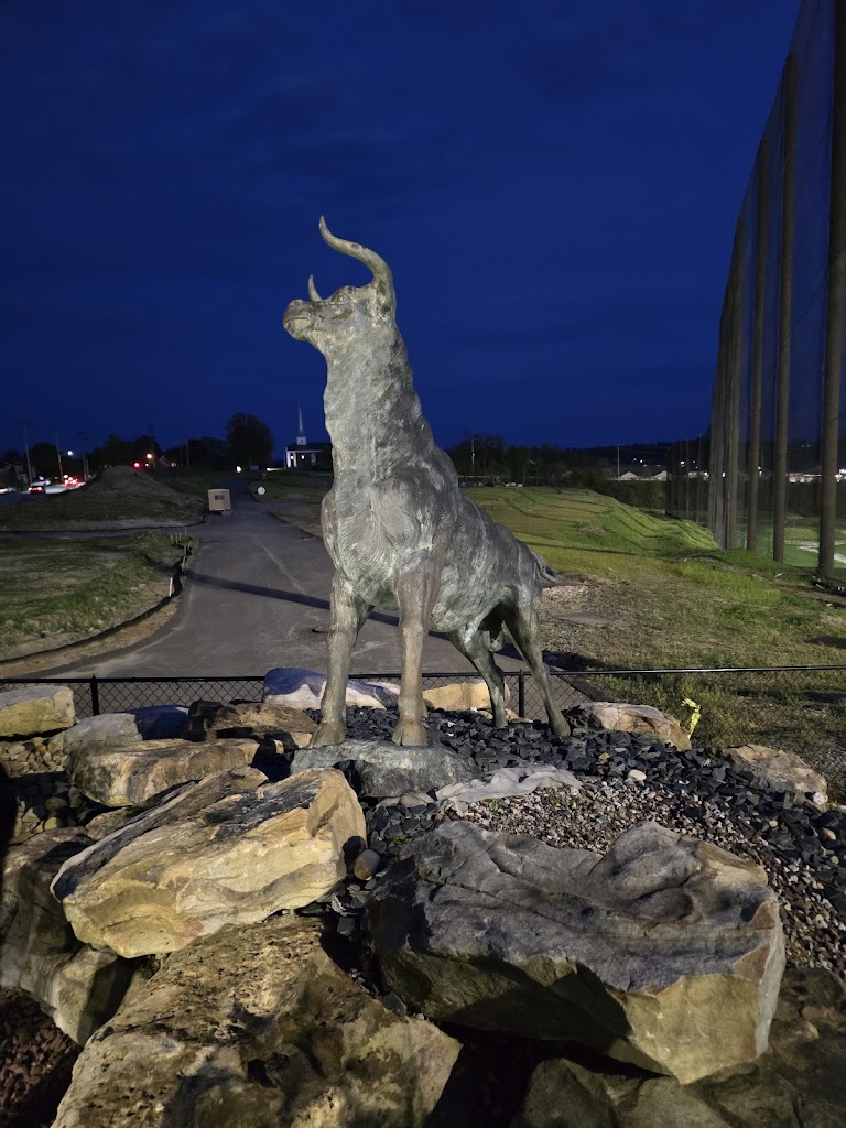 Cool Springs Golf - review