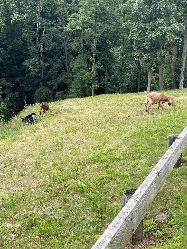 Hilly Haven Golf Course - review